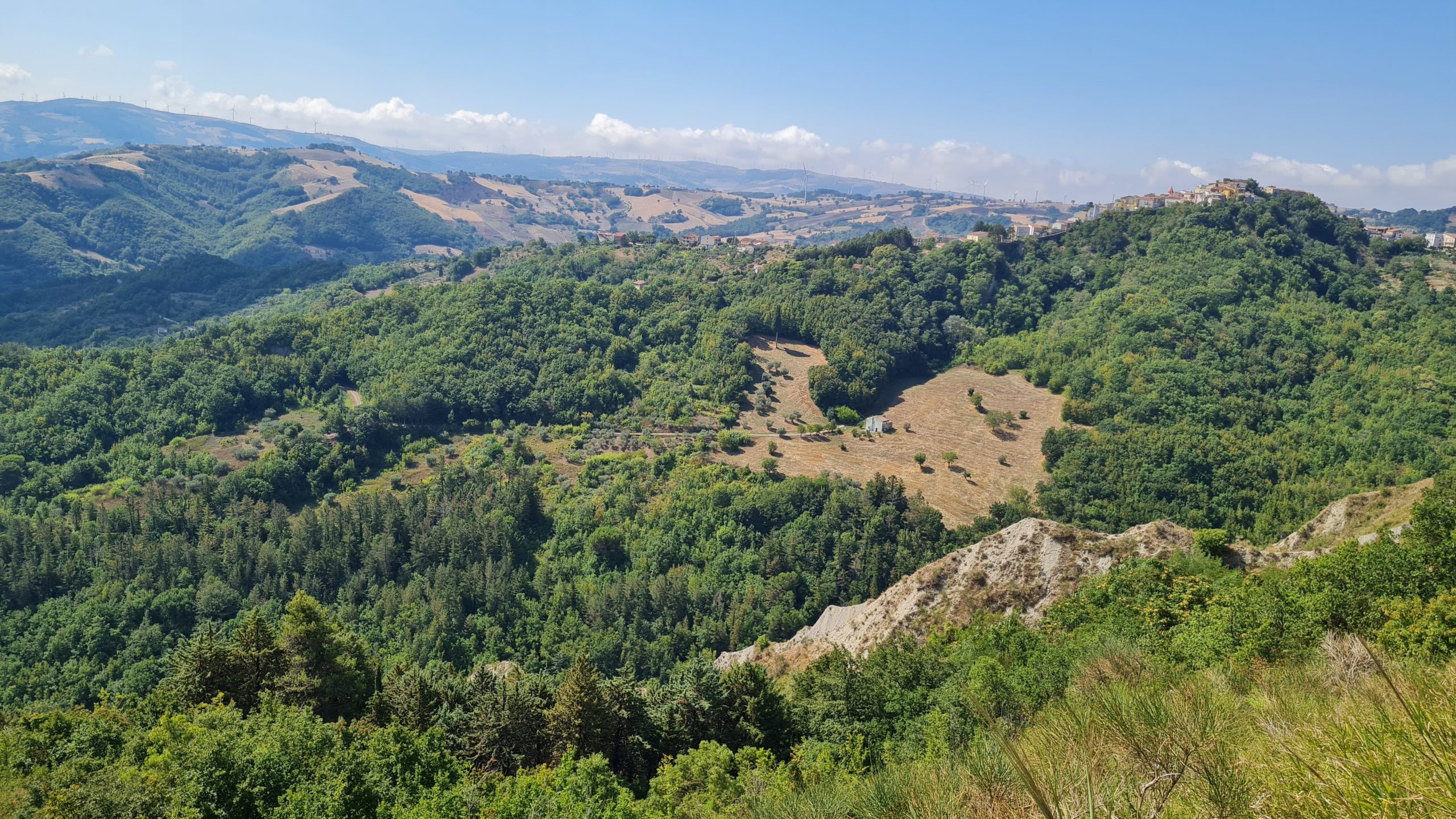 Corso di formazione in gestione forestale per la conservazione della biodiversità